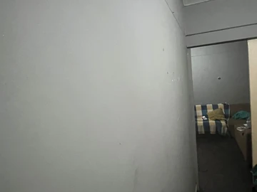 Flat & Apartment