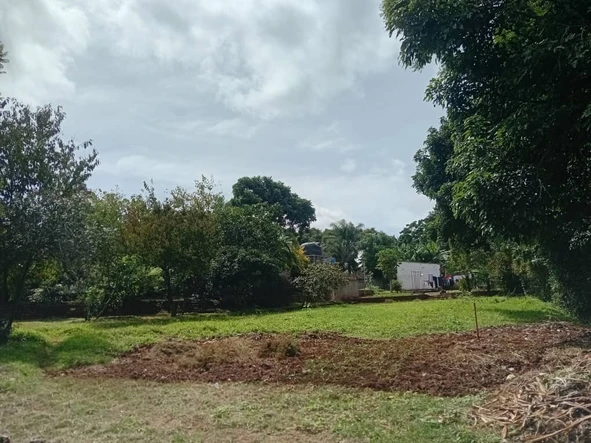 Land