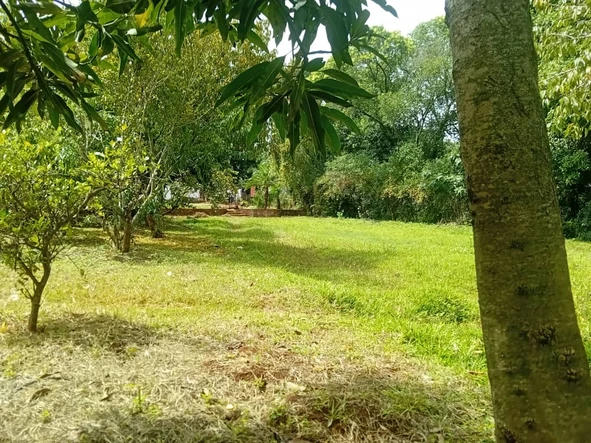 Land