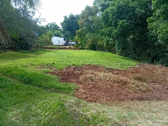 Land